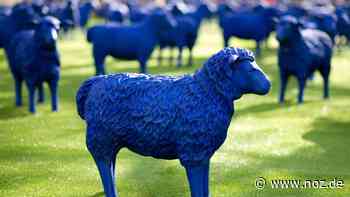 Kunstinstallation und Musik: Blaue Schafe machen am Wochenende Halt am Wöhlehof in Spelle - NOZ