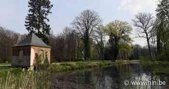 Oudere man wil jas uitdoen, maar tuimelt in water in Abdijpark - Het Laatste Nieuws