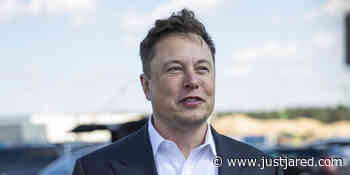 Elon Musk Reveals One Person He Would Allow Back on Twitter