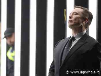 "Errore bloccarlo su Twitter". Elon Musk apre al ritorno di Trump