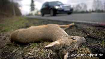 Ebern: Bei Unfällen sieben Rehe, ein Hase und ein Biber getötet - Main-Post