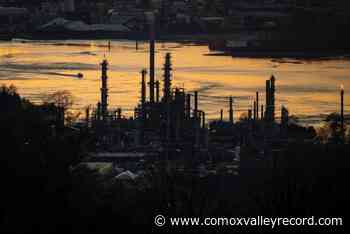 Canola oil diesel expansion fuelled by BC climate tax credits – Comox Valley Record - Comox Valley Record