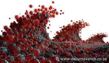 South Africans can now track coronavirus concentrations... - Daily Maverick