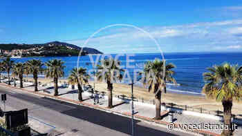 Ad Agropoli una dog beach a San Marco - Voce di Strada