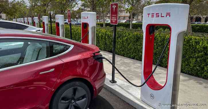 Elon Musk's Tesla Recalls 130,000 Electric Cars; Giant Touchscreen Display May Overheat and Malfunction