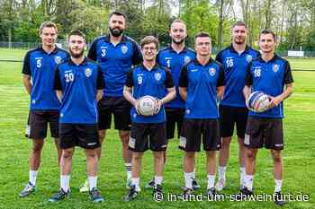 Bärenstarker Saisonstart: Oberndorfer Faustballer siegen 5:0 bei Aufsteiger Waibstadt - Lokale Nachrichten aus Stadt und Landkreis Schweinfurt - SW1.News
