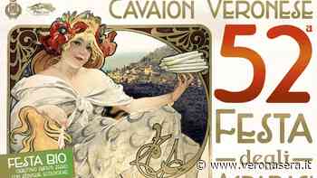 A Cavaion Veronese la 52esima Festa degli Asparagi - VeronaSera