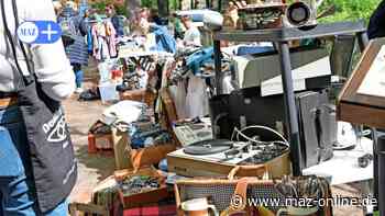 Optikpark Rathenow: Kreativ- und Kinderflohmarkt bei freiem Eintritt - Märkische Allgemeine Zeitung