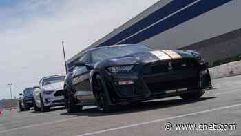 Meet Hertz and Shelby American's Mustang Shelby GT500-H Rental Car     - CNET