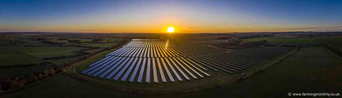 Farmers will find their place in the sun by investing in solar farming