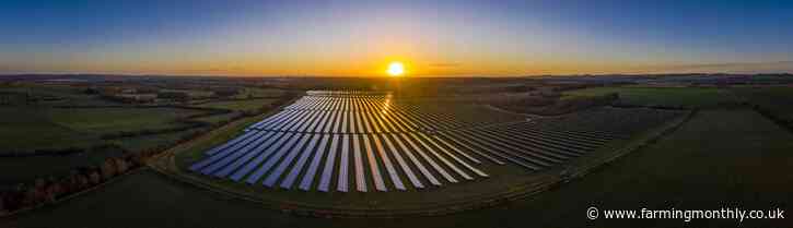 Farmers will find their place in the sun by investing in solar farming