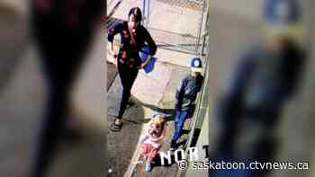 Prince Albert, Sask. police looking for mom and two kids