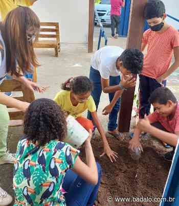 Alunos realizam implantação de uma Eco Praça em Juazeiro - Badalo