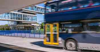 Could half-price public transport in NZ be here to stay? - 1News