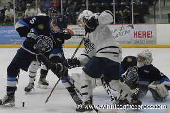 Steinbach, get ready for game 7 - The Carillon - Winnipeg Free Press