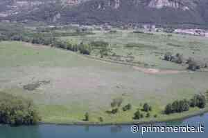 Bioblitz Parco Adda Nord: alla scoperta della natura - Prima Merate