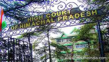 HC upholds removal of Himachal Road Transport Corporation (HRTC) conductor - The Tribune India
