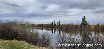 Annual walking trail clean up being held in Kindersley - WestCentralOnline.com