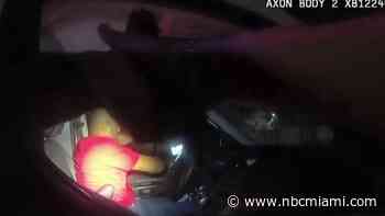 Miami Police Supervisors Keep Eye on Results in Officer's Discipline for Excessive Force