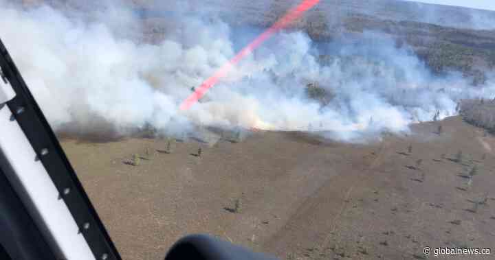 Crews respond to fast-moving forest fire in southwestern Nova Scotia - Global News