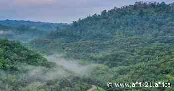 AFRICA: Agriculture swallows up 49 million hectares of forest in 18 years - AFRIK 21