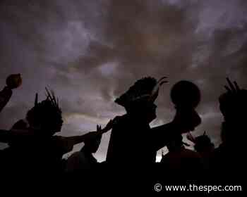 Brazilian groups want direct access to U.S. forest funding - Hamilton Spectator