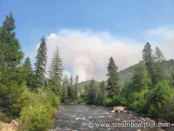 Spending millions on forest health will require broad cooperation, advocacy group says - Steamboat Pilot & Today