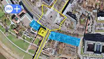 Königsufer in Dresden: Neustädter Freiheit fordert Baumschutz - Dresdner Neueste Nachrichten