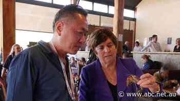 Aussie exporters pitch wagyu, whiskey, yabbies at revived food trade mission