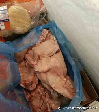 Monza: cibo mal conservato e blatte, chiusa attività etnica - Il Cittadino di Monza e Brianza