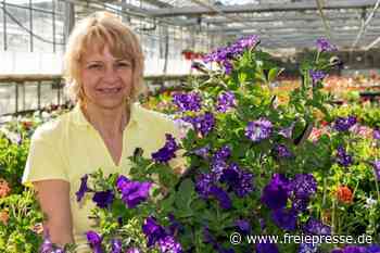 Blütenpracht wetteifert mit dem Sonnenschein - freiepresse.de