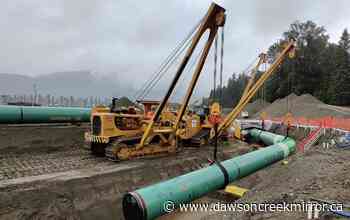 Coastal GasLink fined $170K for pumping trench water into wetlands - Dawson Creek Mirror