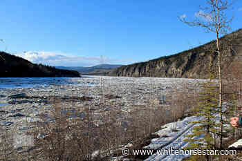 Break-up winner takes $3,000-plus in Dawson - Whitehorse Star