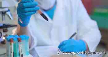 Covid: due vittime a Parma, 245 nuovi positivi e 2 ricoverati in terapia intensiva - Gazzetta di Parma