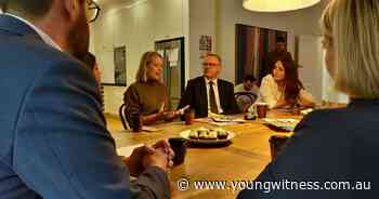 Labor targets leafy Liberal land in hope of a Red North Sydney - The Young Witness