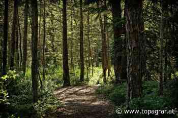Land und Forst Betriebe wehren sich gegen Stilllegung von Flächen - top agrar Österreich