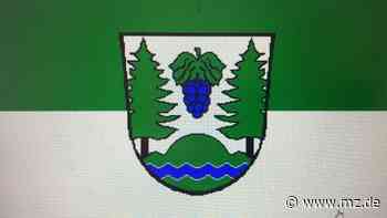 Droyßiger-Zeitzer Forst: Ärger um fehlende Gemeinderäte in Ausschusssitzung - Mitteldeutsche Zeitung