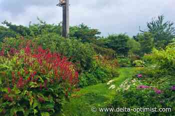 A day to celebrate the community garden in Boundary Bay - Delta Optimist