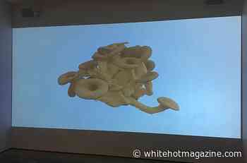 WM | whitehot magazine of contemporary art | Blue Oyster Mushroom Cult: Jessica Langley's Hymenophore - whitehotmagazine.com