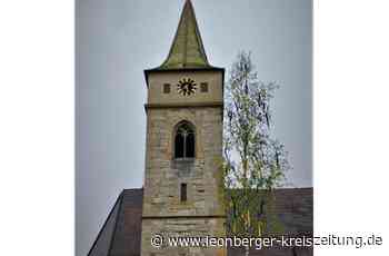 Maifeiern in Leonberg: Die Birke bleibt nicht im Wald - Leonberger Kreiszeitung - Leonberger Kreiszeitung