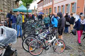 Gewerbeverein Emmendingen wird 50, feiert Jubiläum aber erst nächstes Jahr - Emmendingen - Badische Zeitung