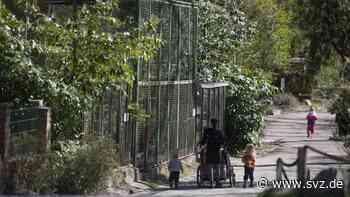 Zu wenig Platz für Affen?: Peta zeigt Zoo Stralsund wegen artwidriger Haltung an - svz – Schweriner Volkszeitung