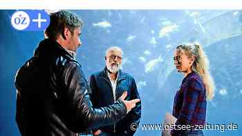 ZDF-Krimi Der Alte: Tod am Kliff zeigt Rügen und Stralsund mit Fehlern - Ostsee Zeitung