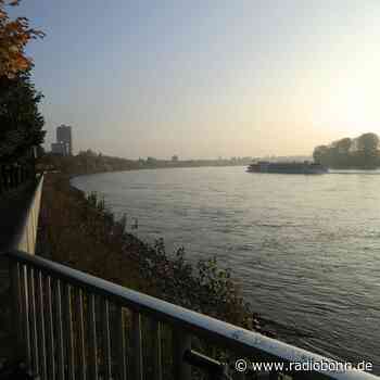 Stadt Bonn warnt: nicht im Rhein schwimmen! - radiobonn.de