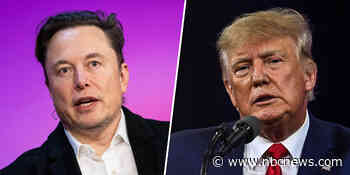 Elon Musk says he would allow Donald Trump back on Twitter