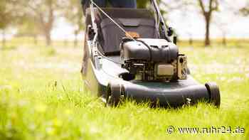 Garten-Tipps für den perfekten Rasen: So bekämpfen Sie Unkraut ohne Chemie - ruhr24.de