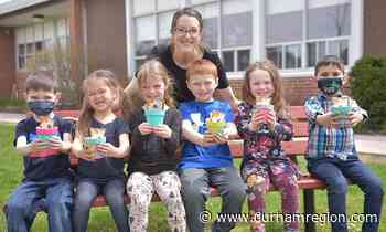 Free wildflower seeds available to Clarington schools, non-profits - durhamregion.com