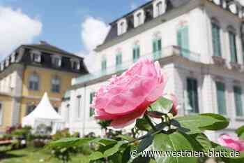 Schloss Wilhelmsthal öffnet die Tore - Westfalen-Blatt