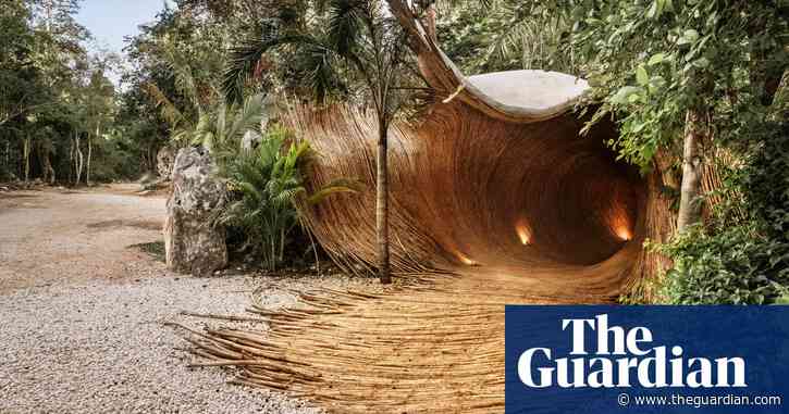 Welcome to the jungle: inside Mexico’s groundbreaking natural art gallery