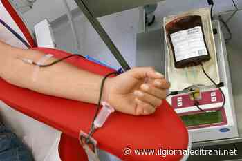 Vetrine in rosso: il contest dell'Avis Trani per la giornata del donatore - Radio Bombo